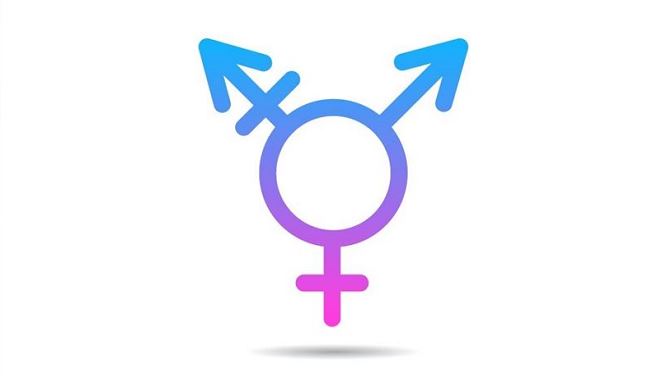 变性人的象征